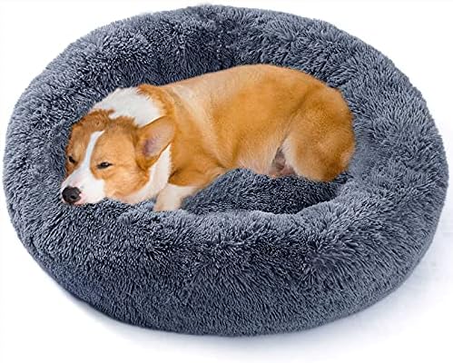 dog beds