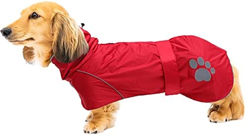 dog jackets