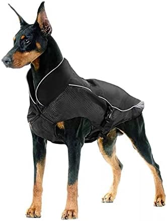 dog jackets