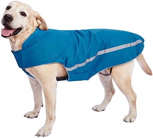 dog jackets