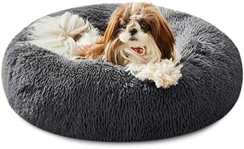 dog beds