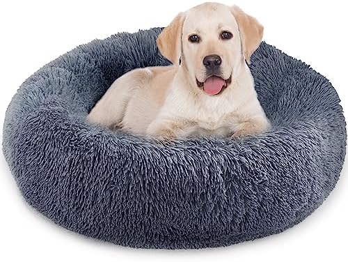 dog beds