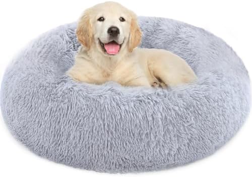 dog beds