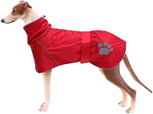 dog jackets