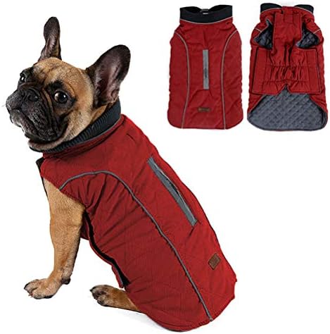 dog jackets