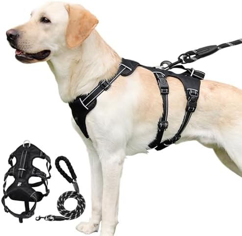 dog harness