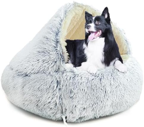 dog beds