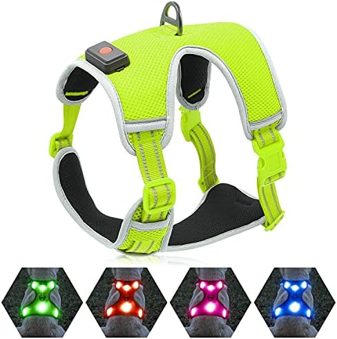 dog harness