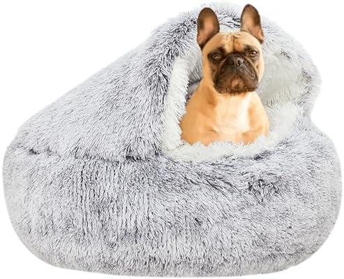 dog beds