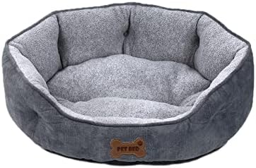 dog beds