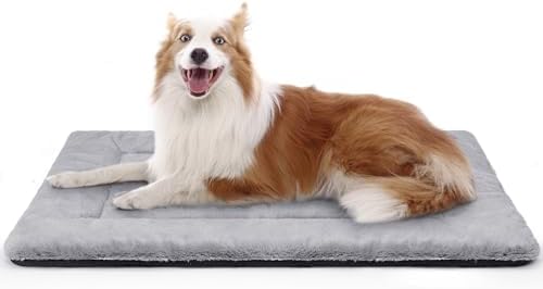 dog beds