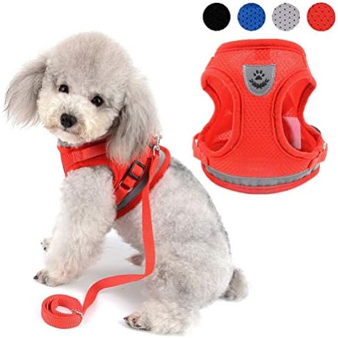 dog harness