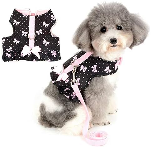 dog harness