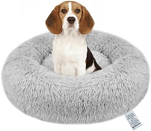 dog beds