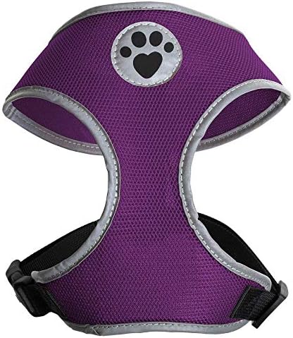 dog harness