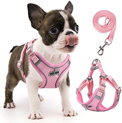 dog harness