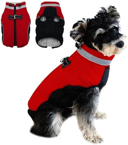 dog jackets for winter