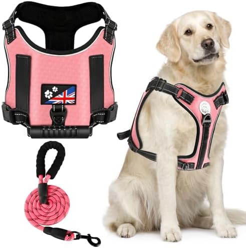 dog harness with handle