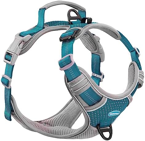 dog harness with handle