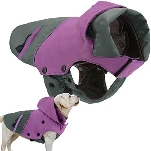 dog jackets for winter