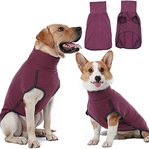 dog jackets for winter