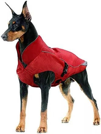 dog jackets for winter