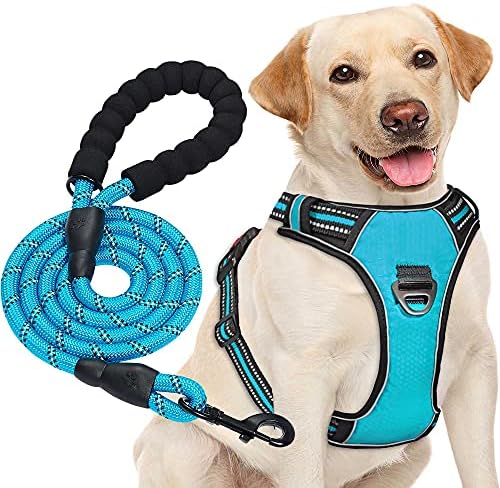 dog harness with handle