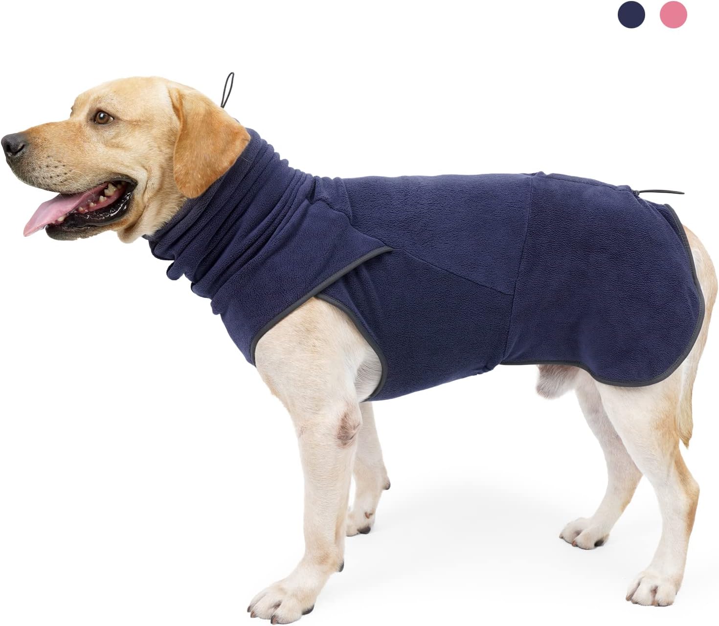 dog jackets for winter