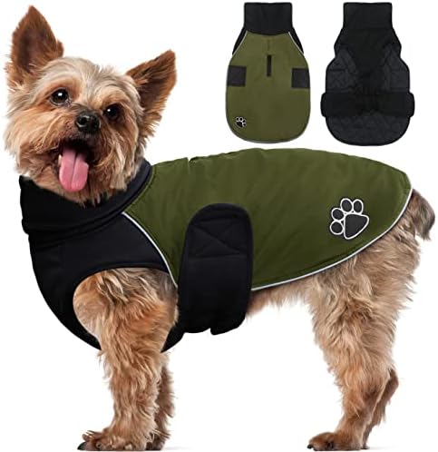 dog jackets for winter