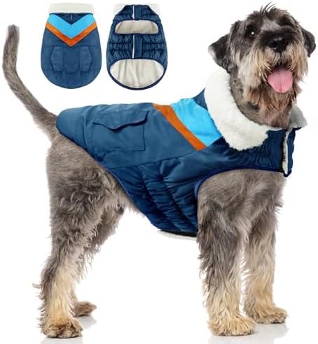 dog jackets for winter