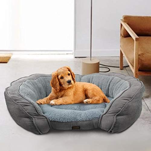 dog beds for large dogs