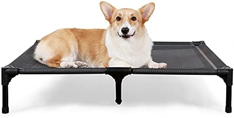 dog beds for large dogs