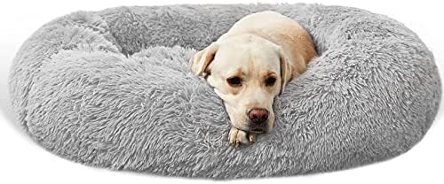 dog beds for large dogs