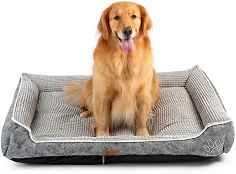 dog beds for large dogs