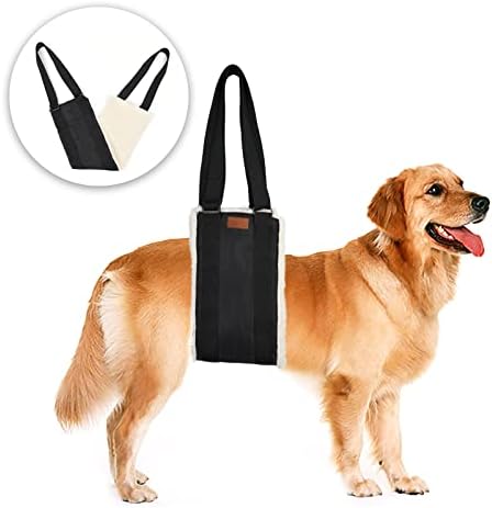 dog harness with handle