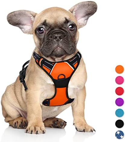 dog harness with handle