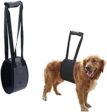 dog harness with handle