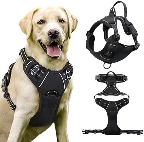 dog harness with handle