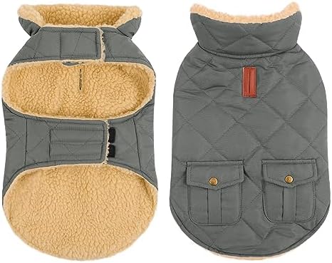 dog jackets for winter