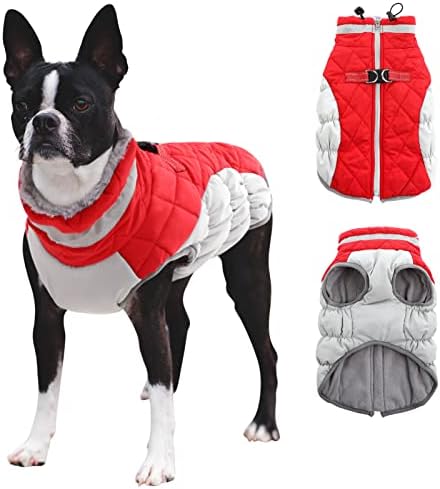 dog jackets for winter