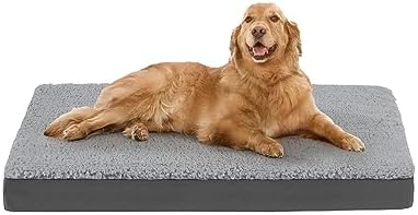 dog beds for large dogs