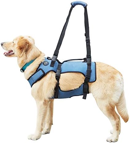 dog harness with handle