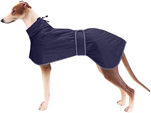 dog jackets for winter