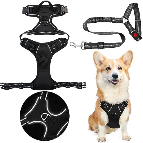 dog harness with handle