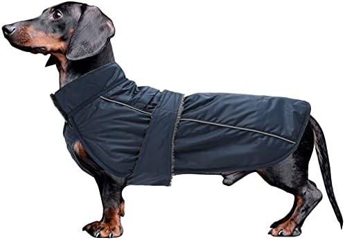 dog jackets for winter