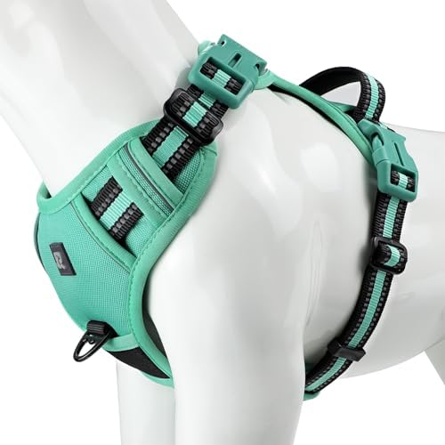 dog harness with handle