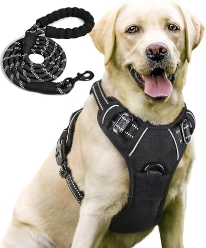 dog harness with handle