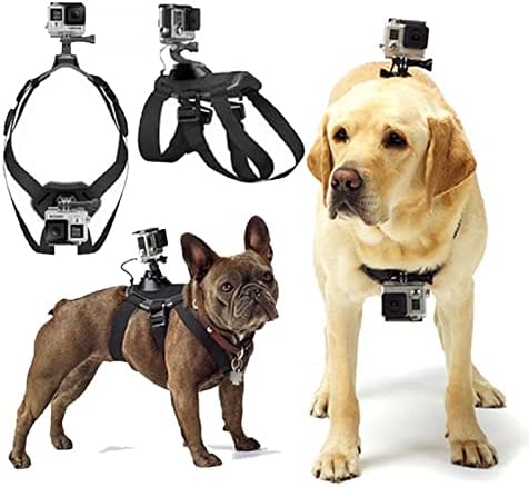 dog harness