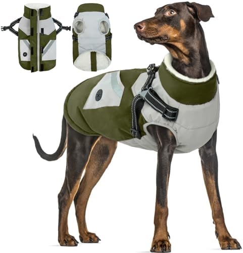 dog jackets for winter