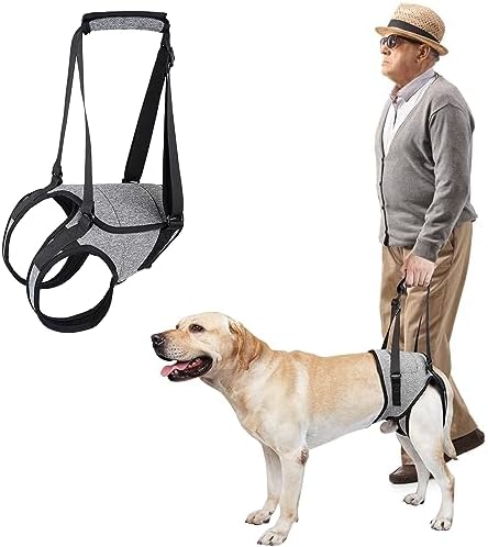 dog harness with handle